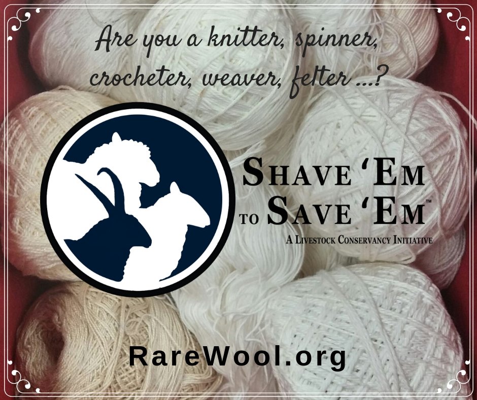 LConservancy's tweet photo. Coming early 2019... Sign up to receive updates at https://t.co/b2YBSIcqzc.
#HeritageBreeds #knitting #spinning #chochet #felting #weaving #FiberArts #wool #Ravelry #RareWool https://t.co/qwOQLQYT1j