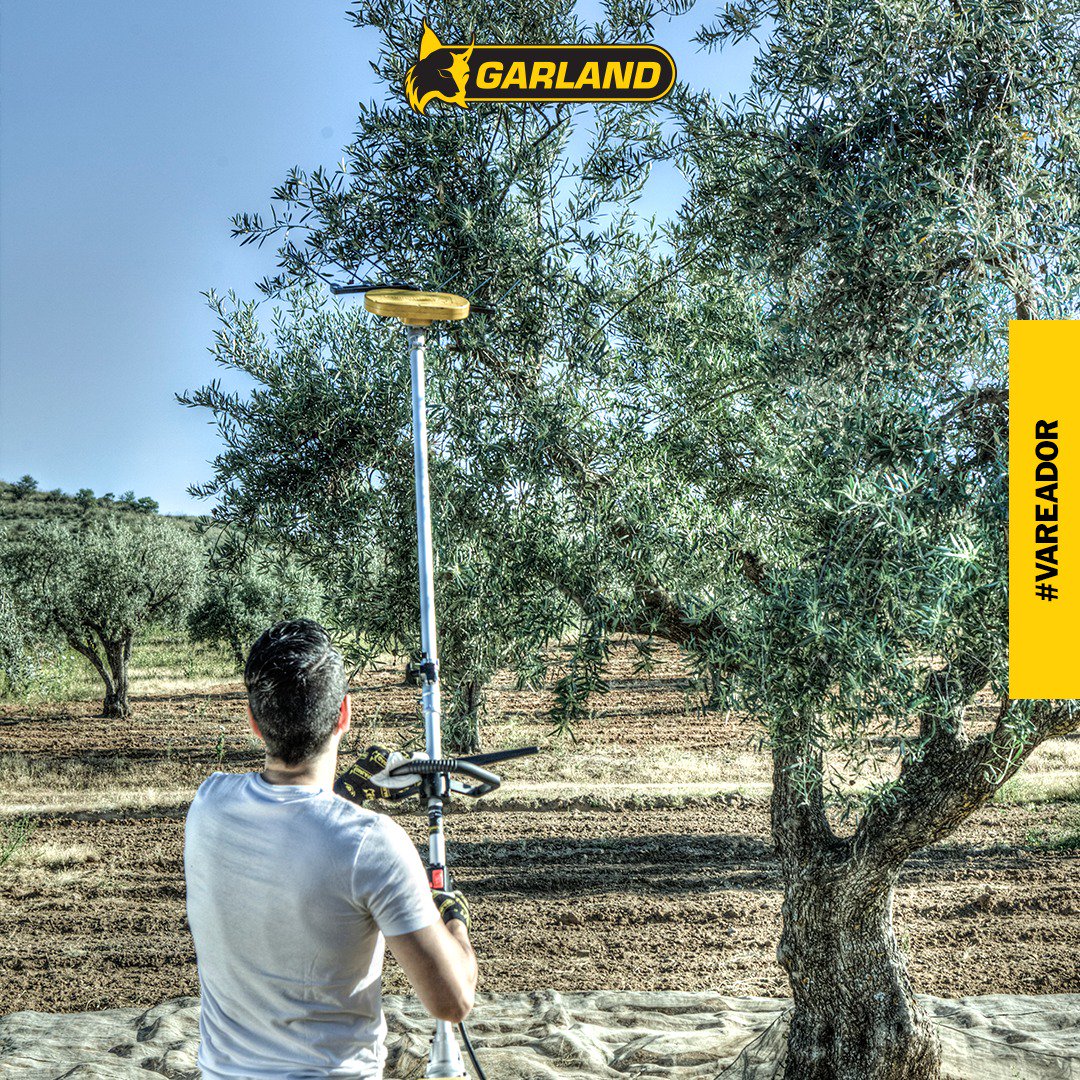 Vassoio Quadrato Garland - 80x80 Cm - Polipropilene Riciclato - Per Serra O Giardino - Foto 11