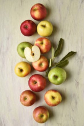 AgroFreshWorld's tweet photo. An #AppleADay keeps the doctor away, but #DidYouKnow there are over 7,500 varieties of apples grown around the world? It would take more than 20 years to try them all if you had one each day. #AppleMonth https://t.co/olUwuCxhTT