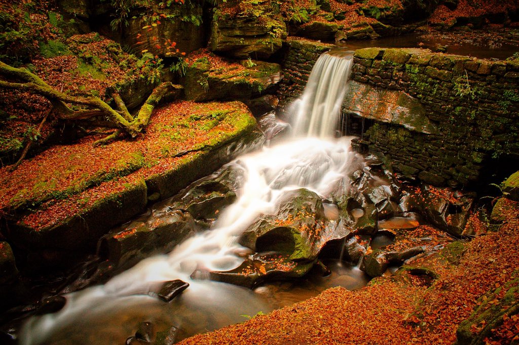 Simon martin tweet media