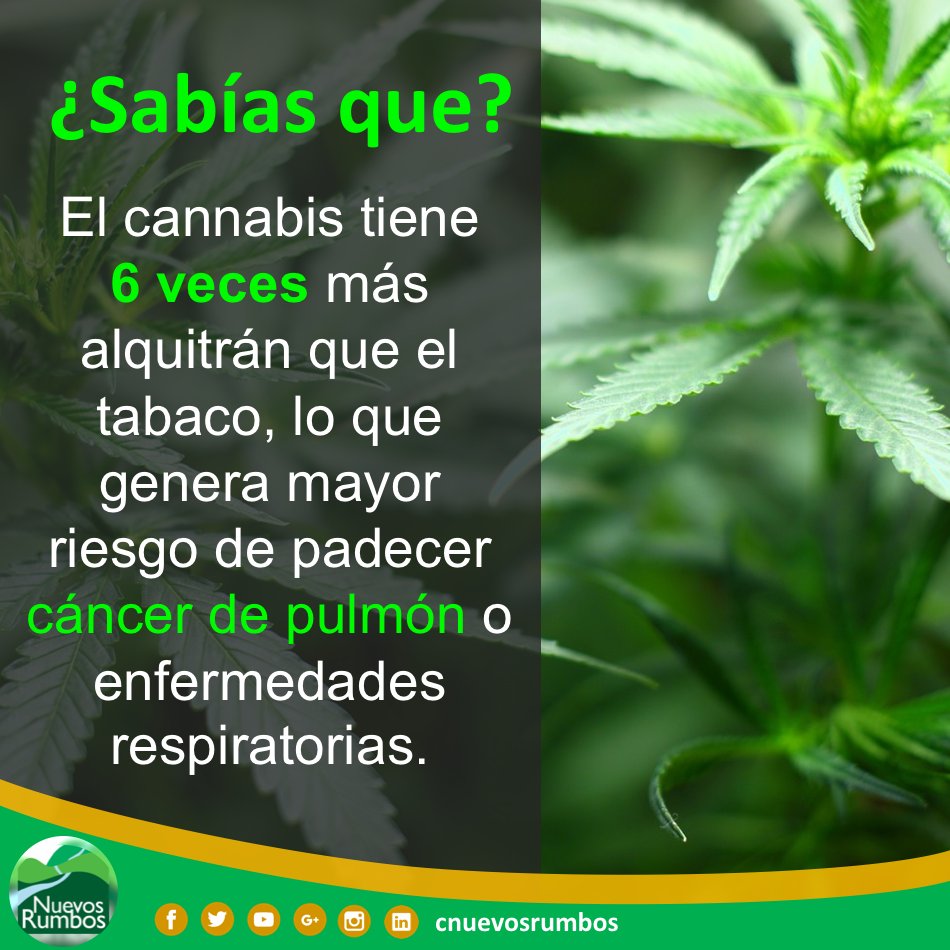 CNuevosRumbos's tweet photo. #FelizLunes 🙂 ¡Te invitamos a seguirnos en nuestras redes sociales! Constantemente generamos contenido relacionado con la prevención e investigación del consumo de drogas 🌎📚📖 

#Prevención #Consumo #Drogas #MenoresEdad #Investigación #Salud #Alquitrán #Cannabis #Marihuana https://t.co/JbrPpPwo7i