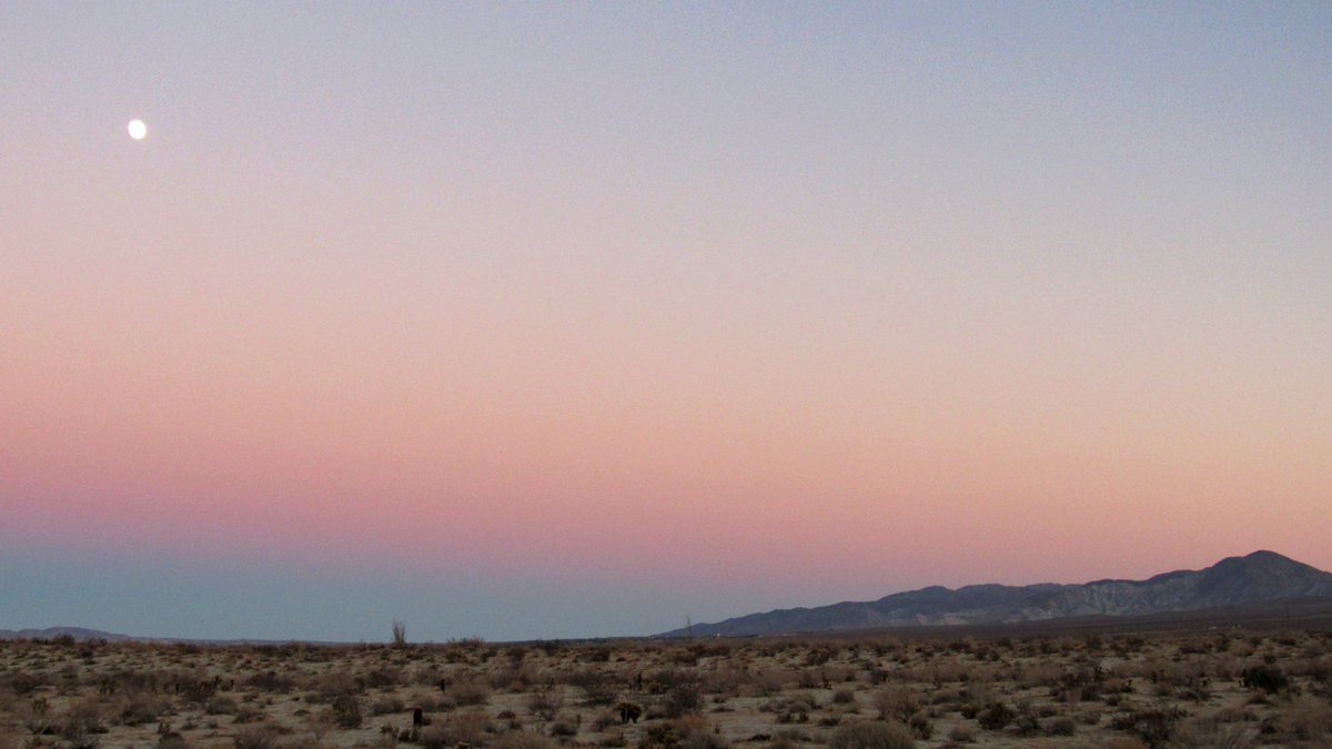 AnzaBResearch's tweet photo. FREE DESERT BOTANY CERTIFICATION COURSE
The Anza Borrego Desert State Park Botany Certification Course will begin January 7th. This course will prepare participants to assist the district with botany projects in the parks such as leading plant walks. Visit https://t.co/FjxEYEDsgo https://t.co/71INqYG4Ym