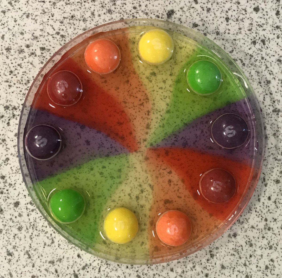BiologyEa's tweet photo. Describing how particles move from high to low concentration - skittles + water 🌈 💦 #endoflesson #diffusion #n5biology #cellbiology #life https://t.co/31J2RHWKJz