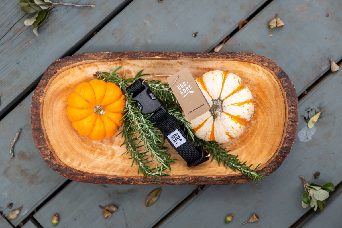 Wondercide's tweet image. This is better than a 🎃  spiced latte. Yeah, we said it.

Get a FREE @DogPlusBone snap collar when you spend $100+ (while supplies last!). #HalloWOOF