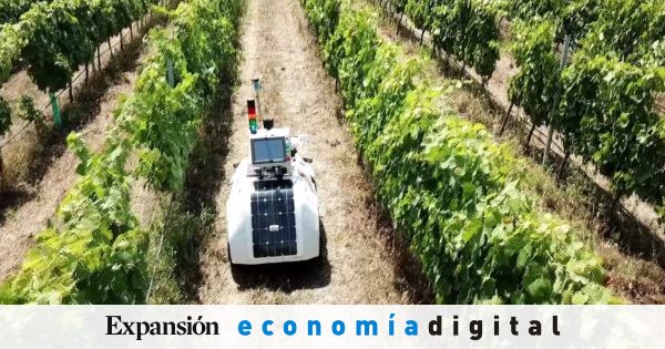 Es cierto que los sectores #Agro y #Viticola apuntan a la #Digitalización. 
En #ClimaVistaAgro y #ClimaVistaWine sabemos lo que significa!
IoT, Inteligencia Artificial y Big Data hacen parte de nuestras soluciones.

Veamos el caso #Wine en España 🍇👍 bit.ly/2NY4tjR