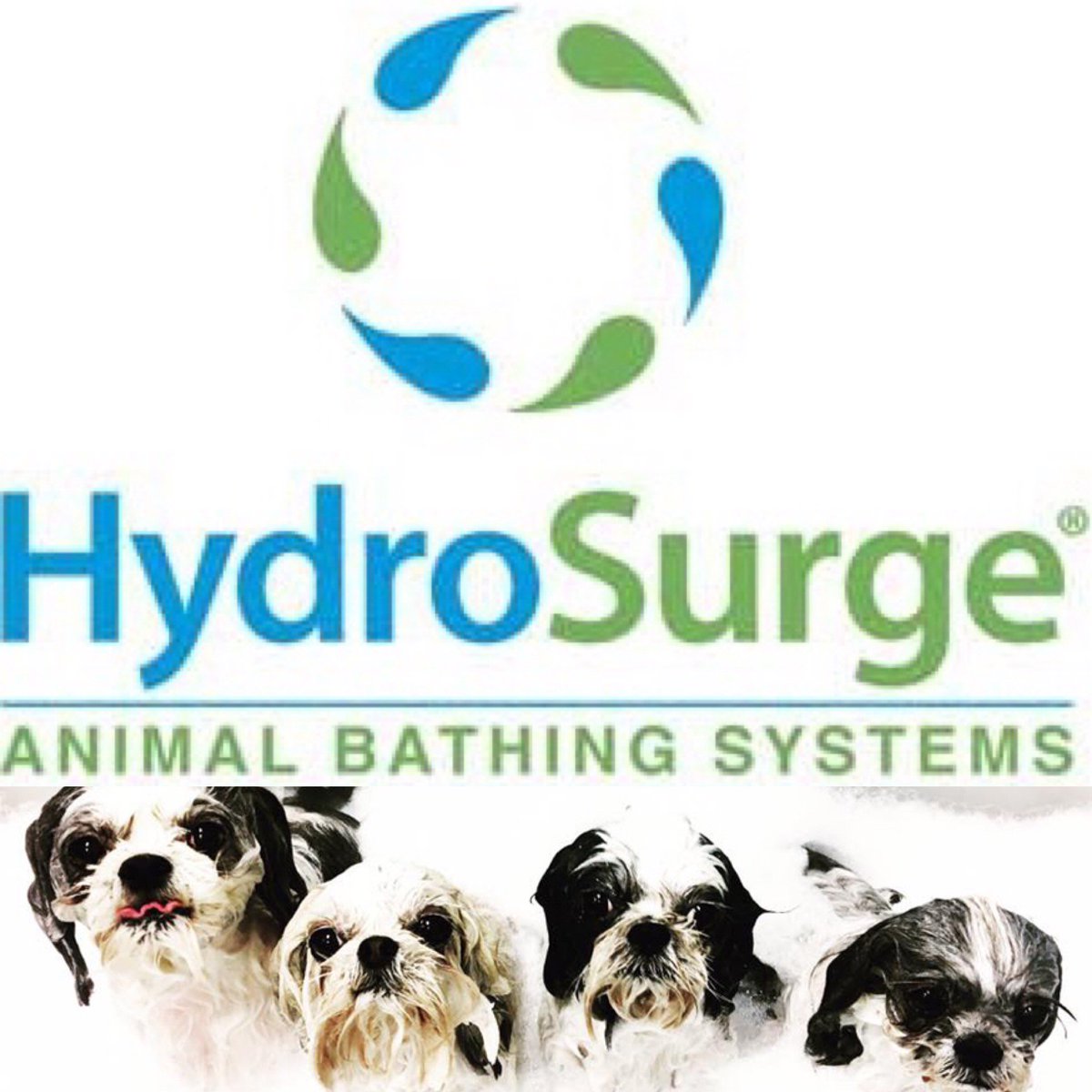 Woof Gang Bakery Henderson is excited to announce the HyrdoSurge Bathing System!  Now offered with all grooming service packages! Because your pets deserve the very best in bathing care. #hydrosurge #bestbathings #wgbhenderson #woofgangbakeryhenderson #wgb #massage #cleanpets