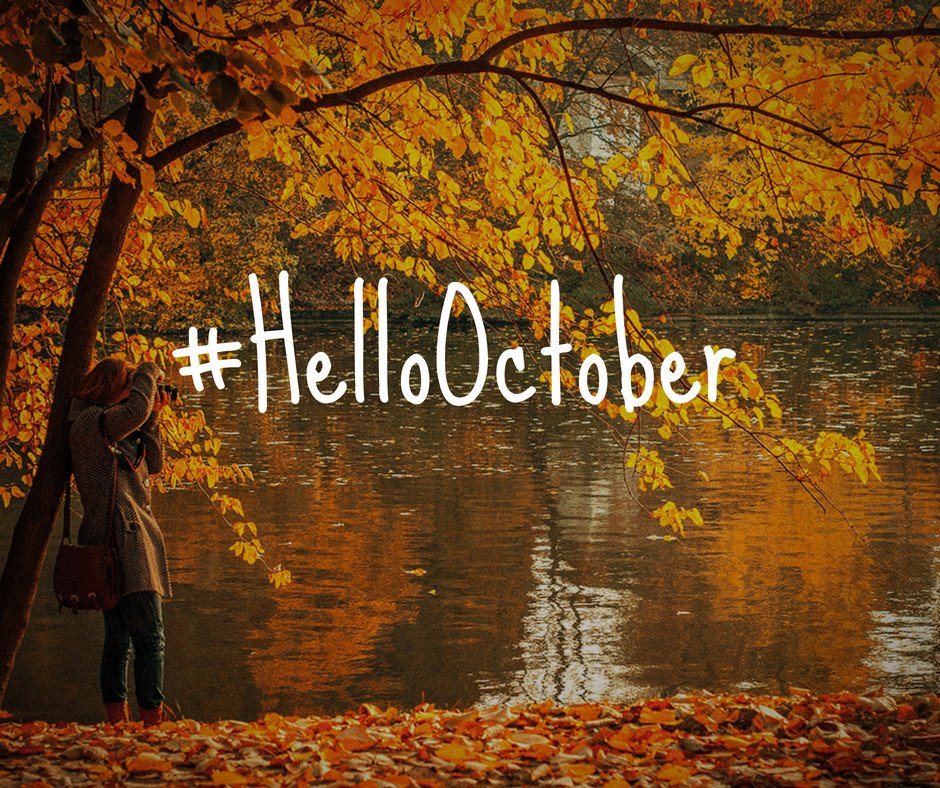 The beauty of Fall in Chicago is the best. Get outside and enjoy it!
#Hello October #chicagolifestyle #chicagocityliving #southloopliving #chicago #chicagorealtor