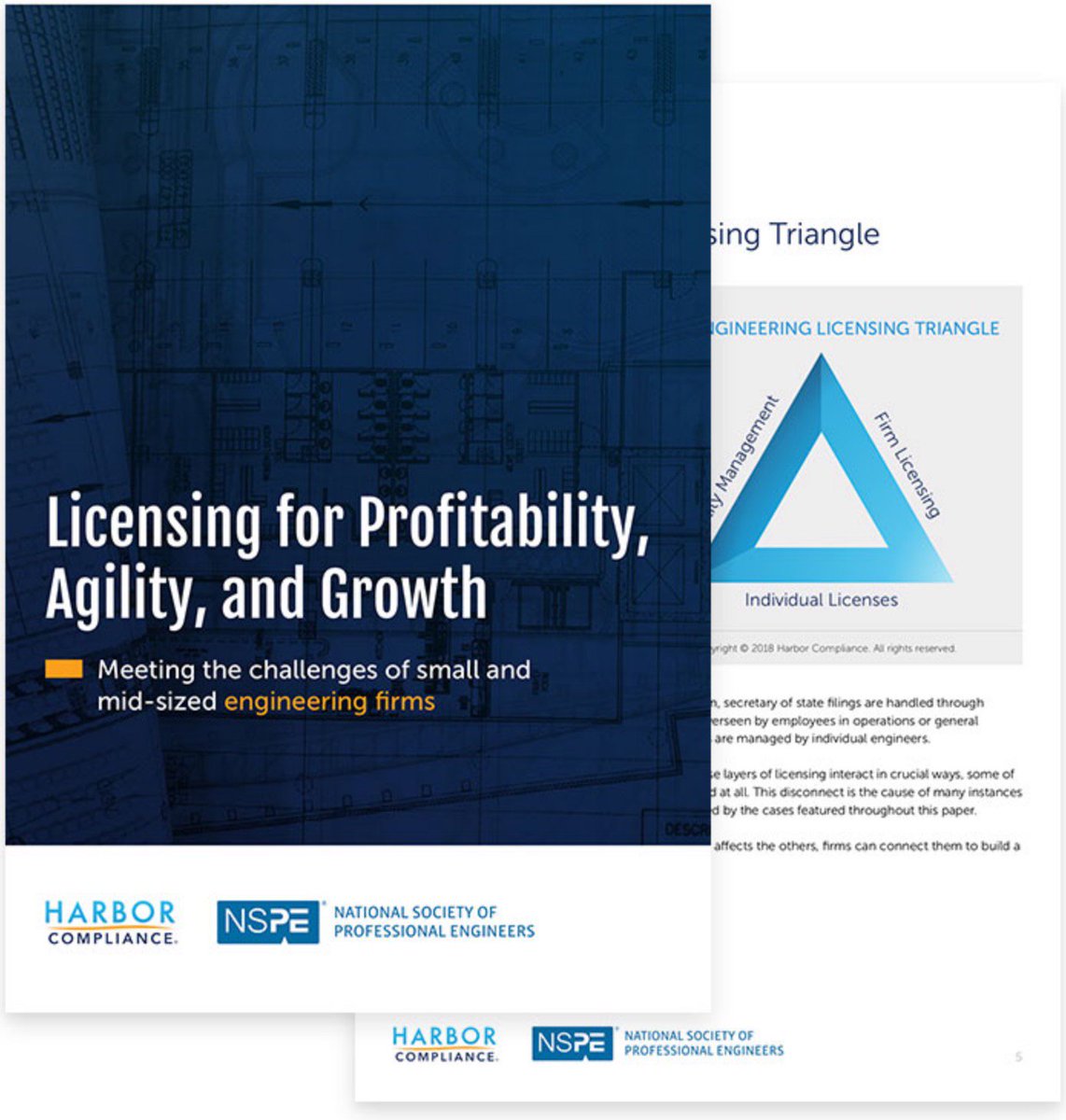 download the productivity and sustainability of southern forest ecosystems