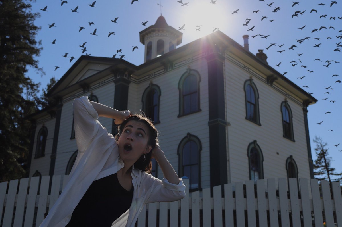 The actual schoolhouse from Hitchcock's 'The Birds'.
⠀
#FunWithPhotoshop #Hitchcock #TheBirds #BodegaBay #PCH #Roadtrip