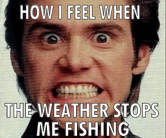 Sleepy_Fish_'s tweet photo. Follow us

#summer #fishon https://t.co/g2nKqbMKLn