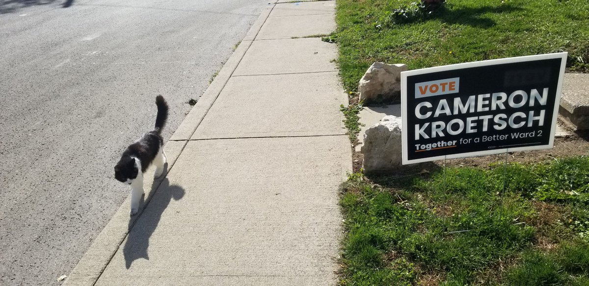 CameronKroetsch's tweet photo. In case I haven't been persuasive enough, listen to these final #CatsForCameron. Thanks to all of #HamOnt's animal friends. Seeing you out there has been just the best. #CameronForWard2 https://t.co/nz4RS00ESc