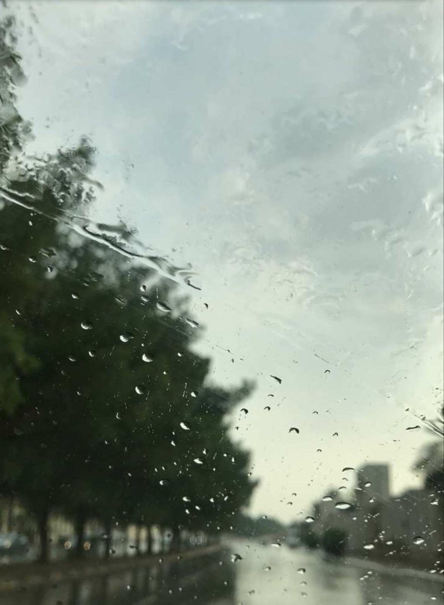 she9n's tweet photo. ريحة مطر تحضن شوارعنا بحنين 
وفينا اماني تكثر اذا رش المطر 💭
#الشيهانة https://t.co/fBgL1fjHsj