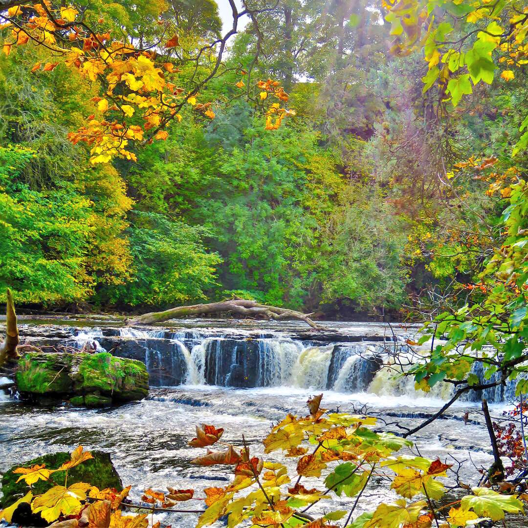 oldcrofthouse's tweet photo. Ure-ll be delighted about how much there is to see and do #stay #bedandbreakfast #kirkbystephen #cumbria #river #ure #aysgarthfalls #walk #explore #woodland #waterfalls #halftermfun #bedandbreakfast #perfectholidaydestination #livetoexplore #yorkshiredalesnationalpark https://t.co/rmQLBmykd8