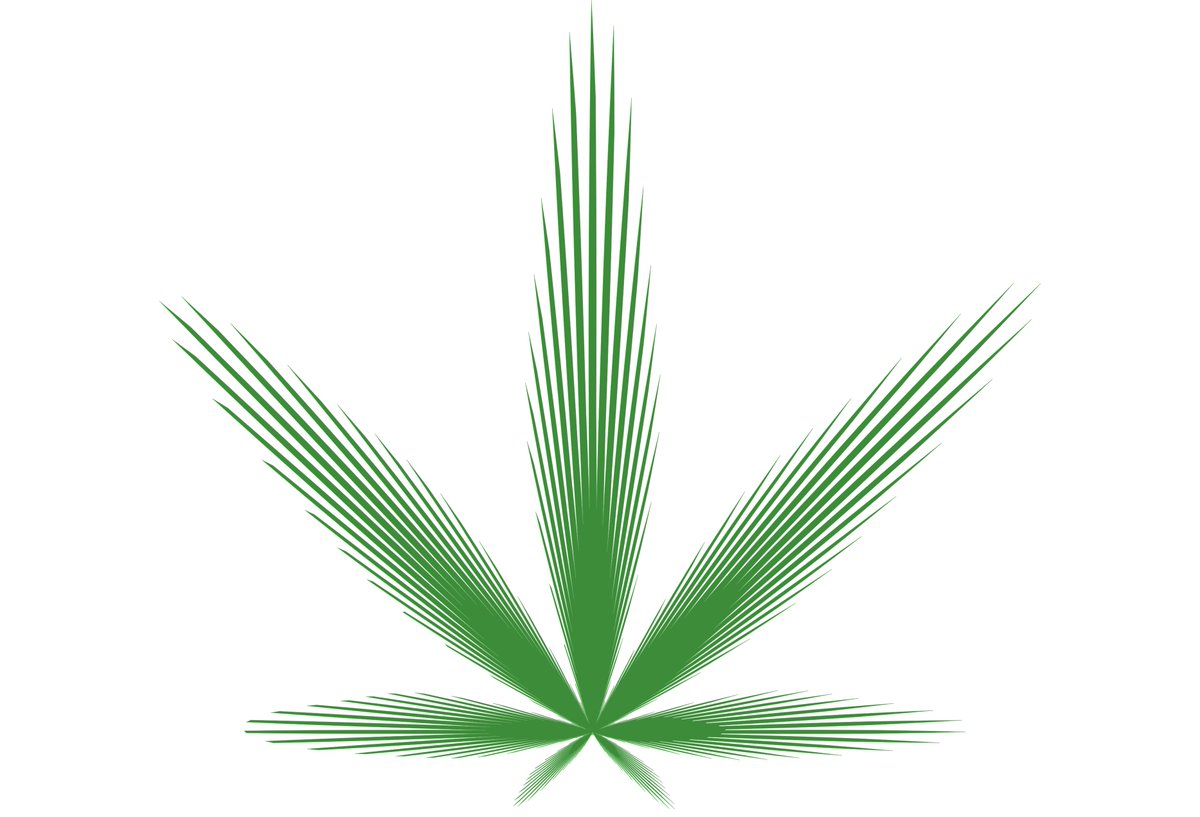 Valeria Mendiola בטוויטר Cuando Piensen Que Las Matematicas O La Estadistica O Cualquier Cosa Nerd Por El Estilo Es Aburrida Recuerden Que Pueden Dibujar Una Planta De Cannabis Con Puro Codigo En Valeria Mendiola בטוויטר Cuando Piensen Que Las Matematicas O La Estadistica O Cualquier Cosa Nerd Por El Estilo Es Aburrida Recuerden Que Pueden Dibujar Una Planta De Cannabis Con Puro Codigo En