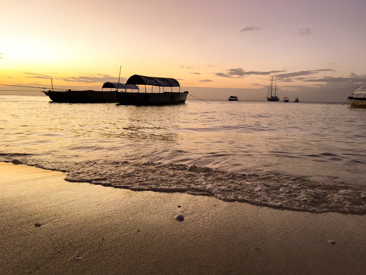 davïd🌼 tweet media