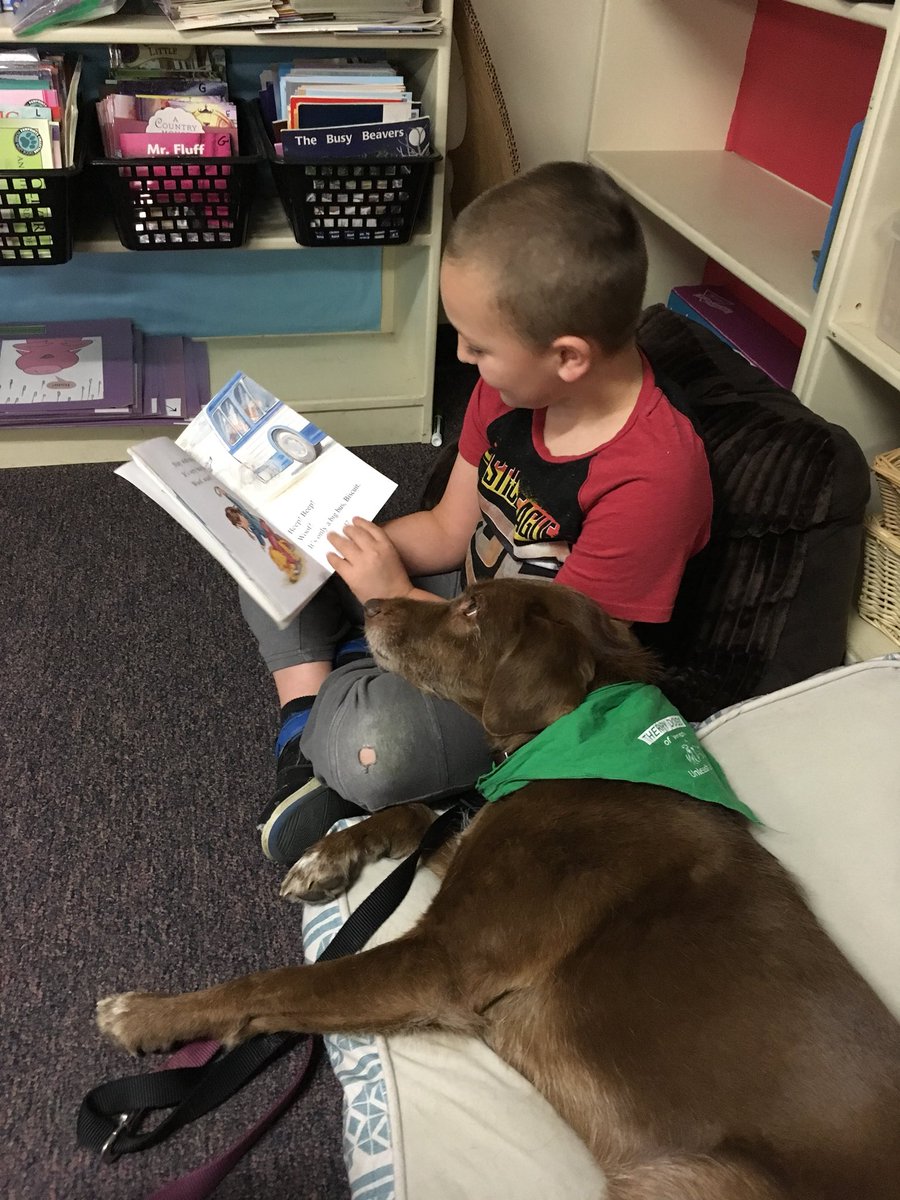 Reading a Biscuit book to our therapy dog.#vtlibraries