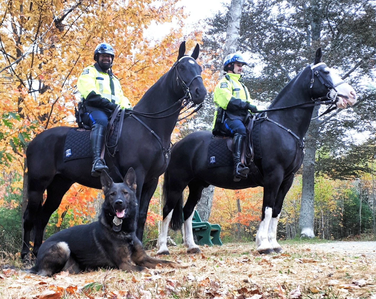 HRP K9Unit on Twitter "Look who we stumbled across while finishing up some training in Point