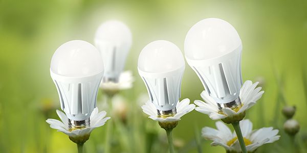 FutureEnergySl's tweet photo. We spend more on our electricity during these dark months.
If you would like a #lightingsurvey, contact us &amp; we will advise you of the best &amp; cheapest solutions that will lower your #energycosts substantially.
01254 433456 https://t.co/bjvixDF5J2