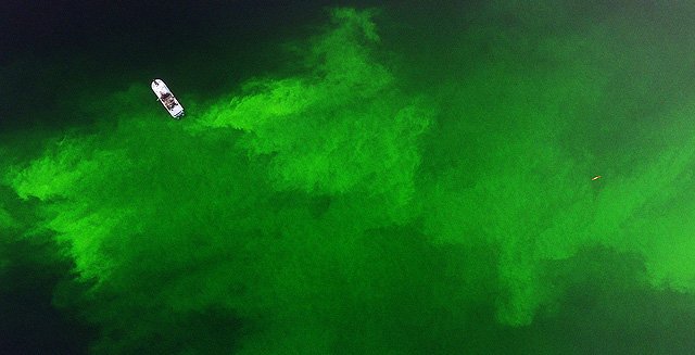 MBARI_News photo