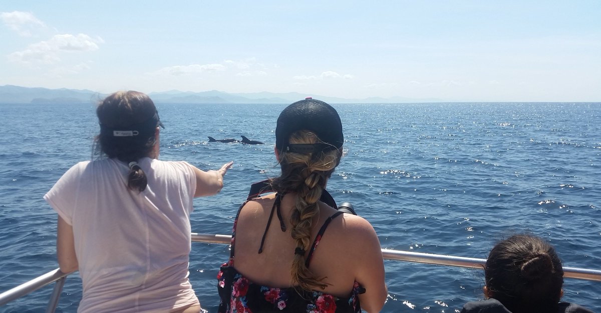 Vanverre's tweet image. Met wie zou jij dolfijnen willen spotten in Costa Rica?

#dolfijn #speedboot #vanverre #vanverrereizen #costarica