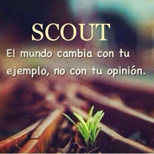ScoutsAcuarius's tweet photo. #FelizInicioDeSemana https://t.co/jhbdqJ4OMZ