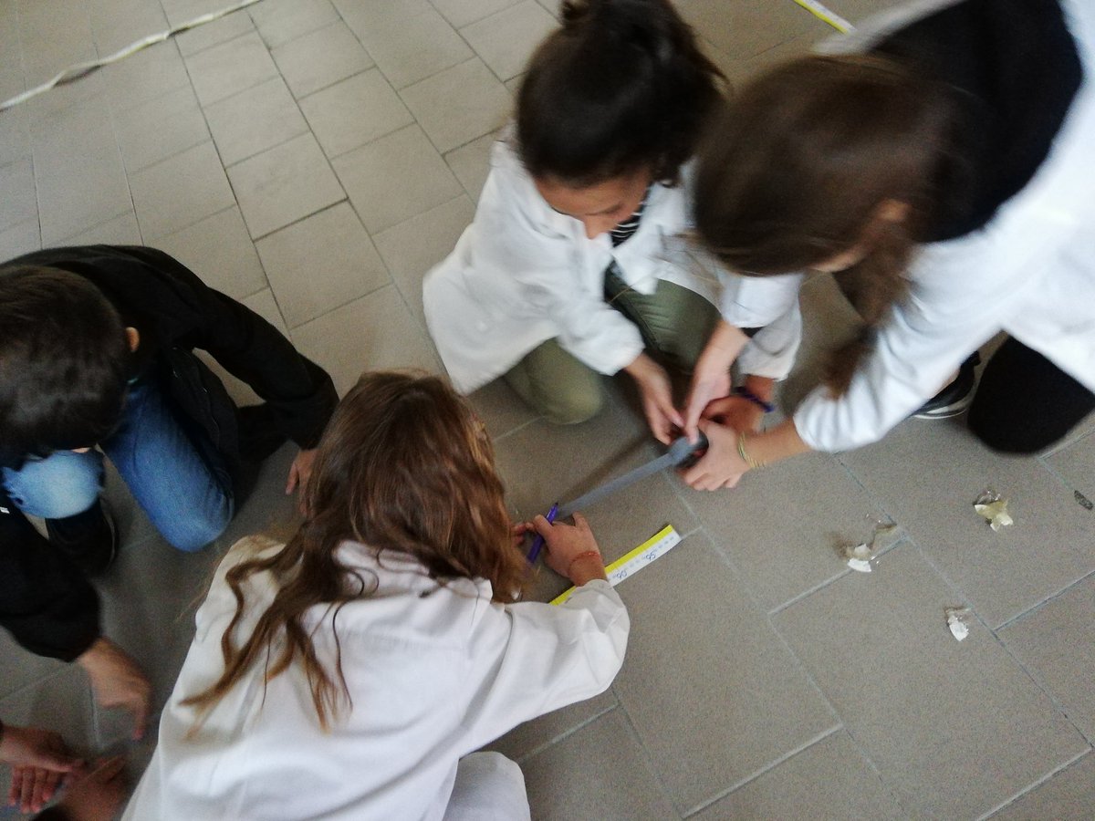 gennyzu1's tweet image. Preparando la griglia per #codyroby matematica e geometria per giocare
#CodeWeek2018 continua
QuintaC #primariadonmilani