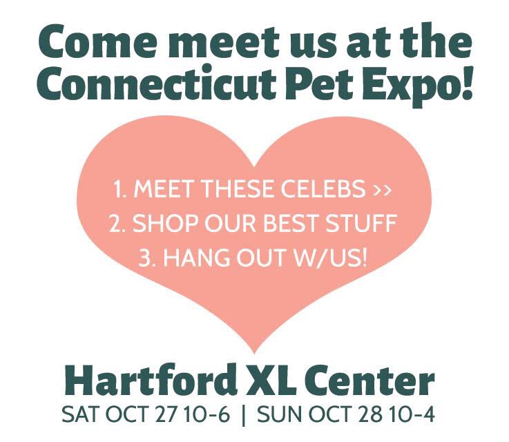 Mypetchickencom On Twitter Come Meet Us At The Connecticut Pet