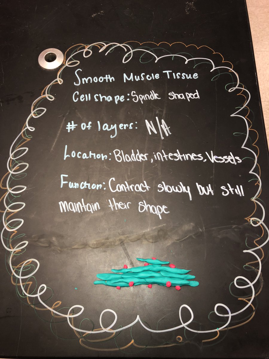 bioshemesh's tweet image. Anatomy classes created #TissueBoxes with Play-Doh and Chalk Markers.  A "gallery walk" gave each student the chance to review the concepts.  A new twist on the classic Jigsaw learning activity #TrumanScience #btsdtigers