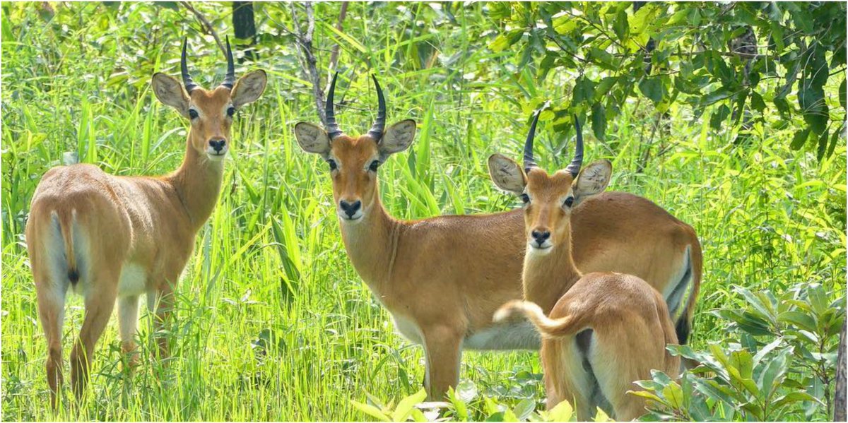 BRAGHANA TOURS tweet media