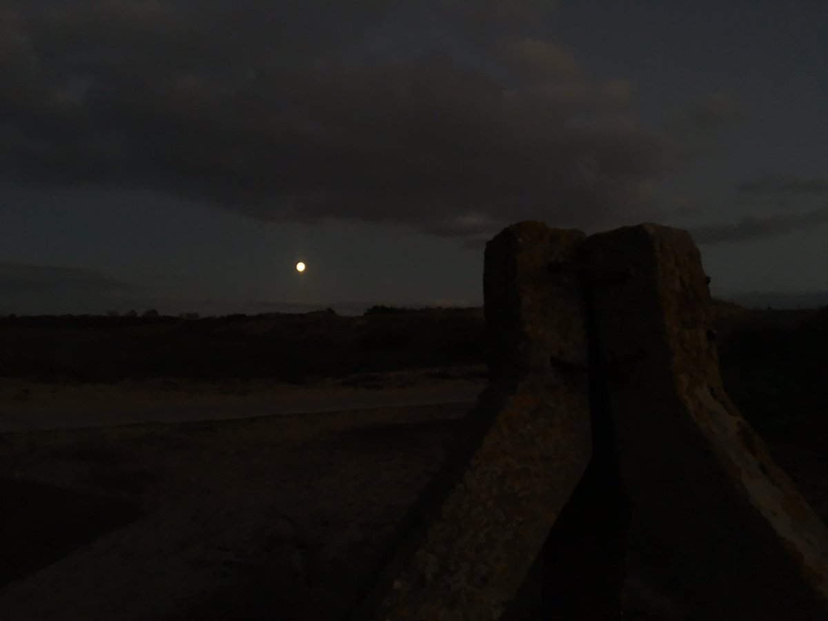 #sunset #moonrise 🌞🌔 #holland