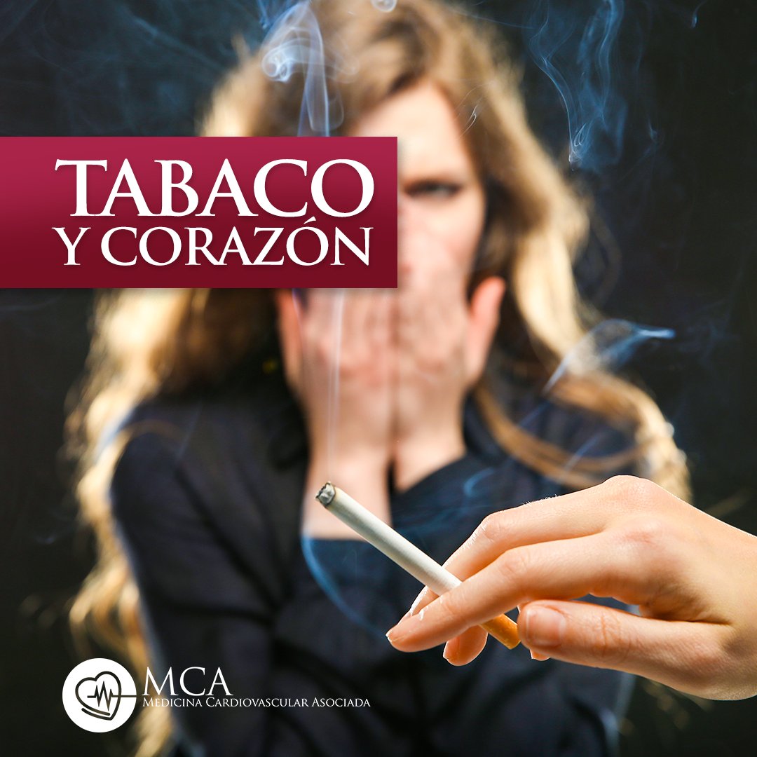 Aspectos dañinos del tabaco?  La nicotina es el principio activo más importante del humo del tabaco, así como otras sustancias químicas, como el alquitrán y el monóxido de carbono, también perjudican el corazón provocando la acumulación de placas de grasa en las arterias.