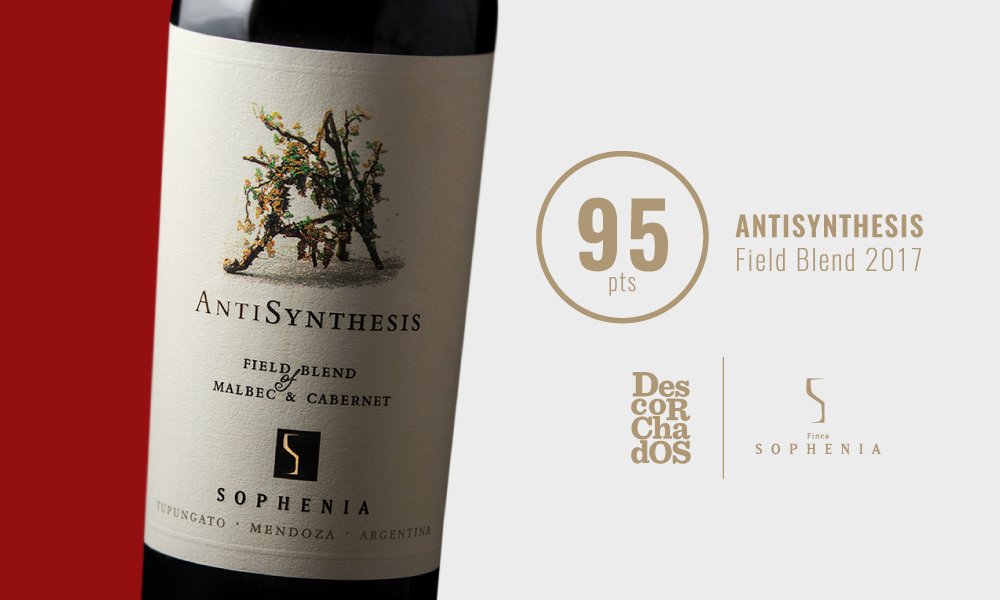 FincaSophenia's tweet photo. Queremos compartir el excelente puntaje otorgado por @Patricioatapia en #GuíaDescorchados para #AntiSynthesis Field Blend 2017. Orgullosos del logro obtenido por todo el equipo de Finca Sophenia. https://t.co/WrmTb4zFUb