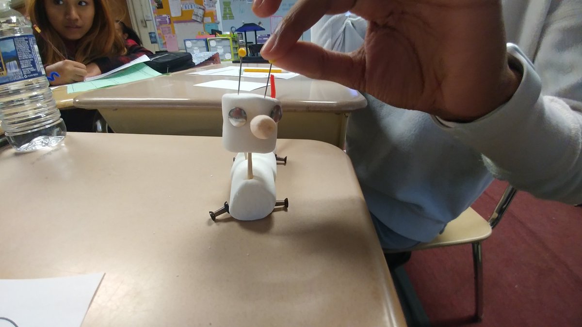 AliceBucknerSci's tweet photo. What is a trait and where do we get then from? Reebops have the answer! @ArbutusMS we do learning hands on! Thanks to Mr.Pettitt @BCPSSci for the great idea! #Room108AdventureTime https://t.co/xdzgwgqh3M