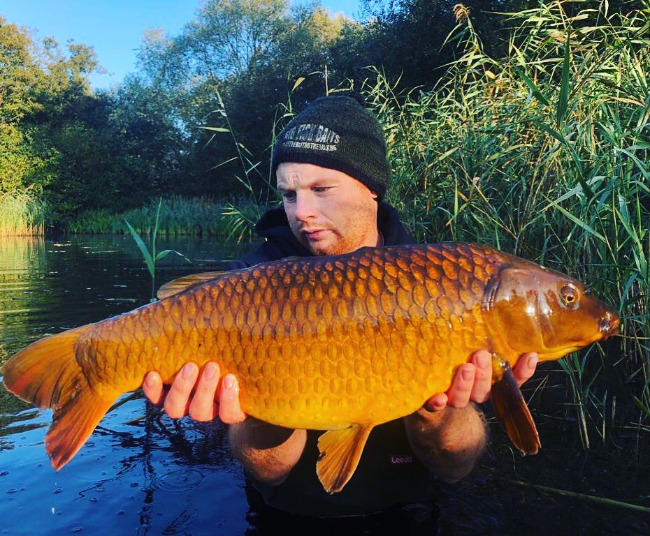 WitteWitdog's tweet photo. One of the five had this weekend on #milkone by @BigFishBaits
#carp
#carpy
#thatscarpy
#delks
#anglingtimes
#suffolkwaterpark
#totalcarp
#totalcarpmagazine
#craftycarpermagazine https://t.co/Wrh8zezCzT