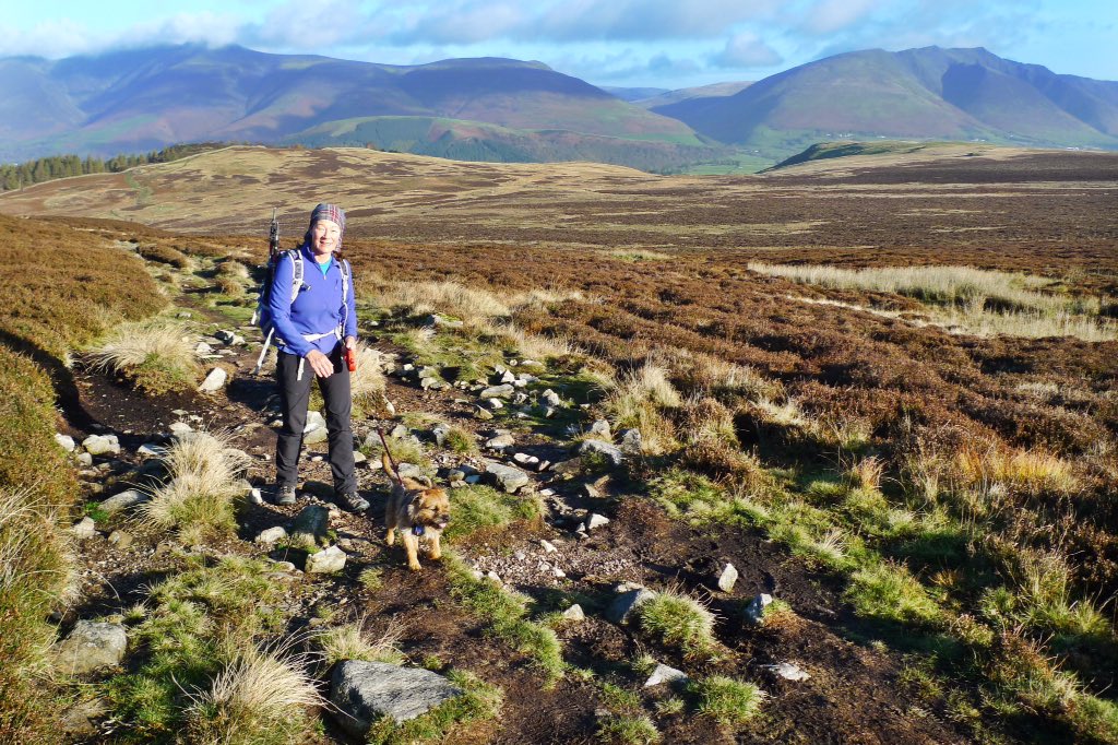 GCSScotland's tweet photo. A pleasant @CumbriaWeather #Autumn morning for a wander on the #LakeDistrict fells. Took the wee dug up two more #Wainwrights - but which two? https://t.co/GNjIgGHoWe