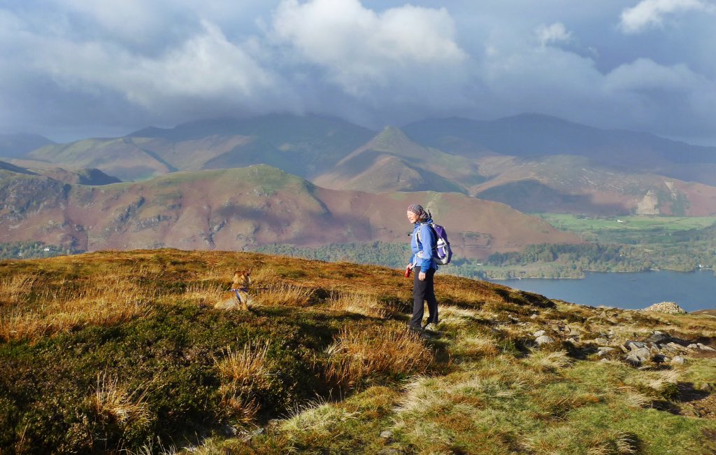 GCSScotland's tweet photo. A pleasant @CumbriaWeather #Autumn morning for a wander on the #LakeDistrict fells. Took the wee dug up two more #Wainwrights - but which two? https://t.co/GNjIgGHoWe