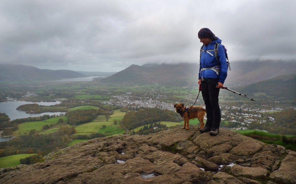 GCSScotland's tweet photo. A pleasant @CumbriaWeather #Autumn morning for a wander on the #LakeDistrict fells. Took the wee dug up two more #Wainwrights - but which two? https://t.co/GNjIgGHoWe