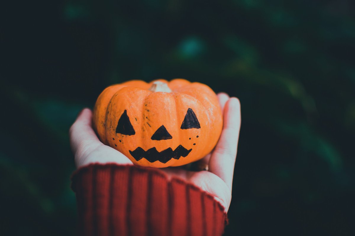 RedbudCharlotte's tweet photo. Make the most of #Halloween before it's over. Check out the haunted attractions, spooky events, and family-friendly happenings going on in the #Charlotte-area ~ https://t.co/pDc2dSAxpD #CLT @CharlotteFive https://t.co/fGWV2VMOu1