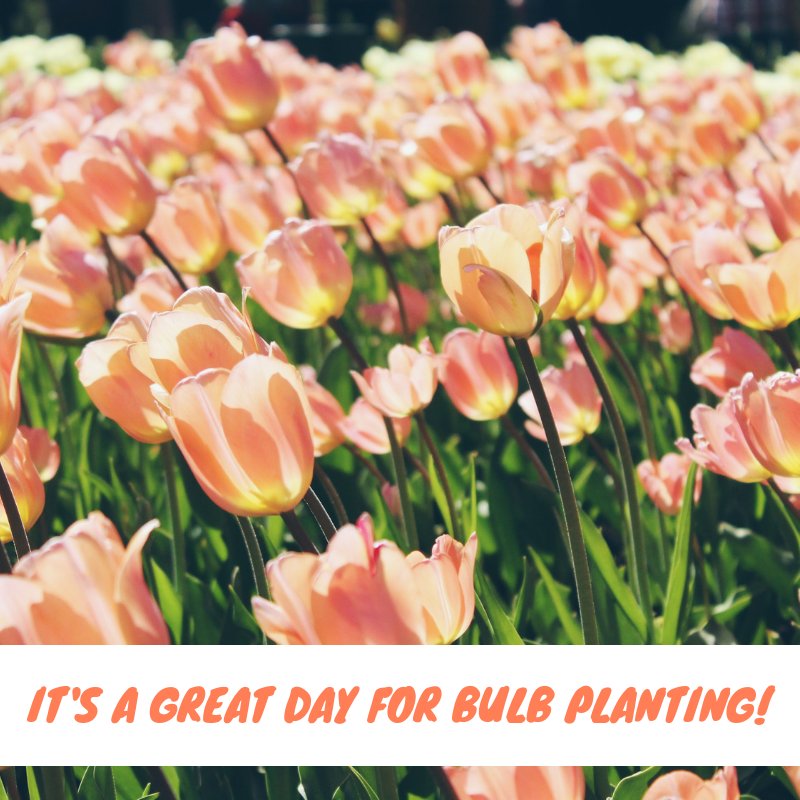 The Barn Nursery On Twitter It S Going To Be A Beautiful Week