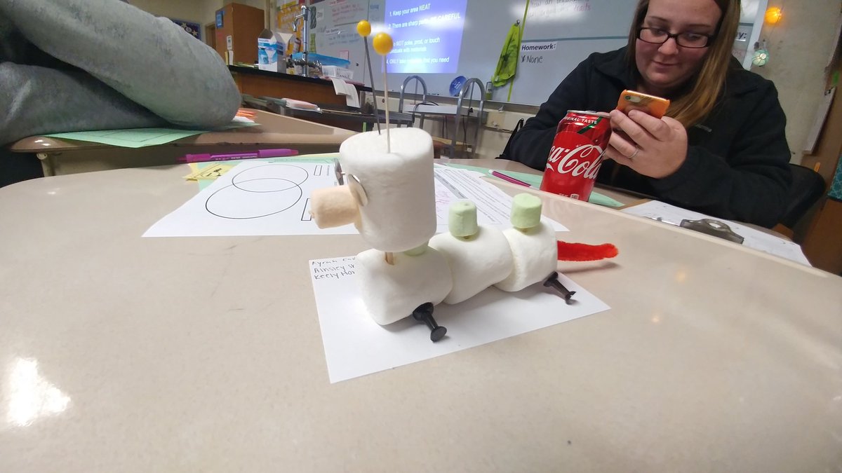 AliceBucknerSci's tweet photo. What is a trait and where do we get then from? Reebops have the answer! @ArbutusMS we do learning hands on! Thanks to Mr.Pettitt @BCPSSci for the great idea! #Room108AdventureTime https://t.co/xdzgwgqh3M
