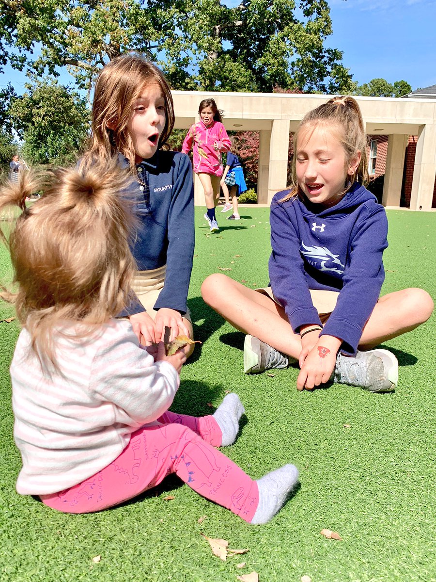 Chelsea Owens (she/her/hers) tweet media