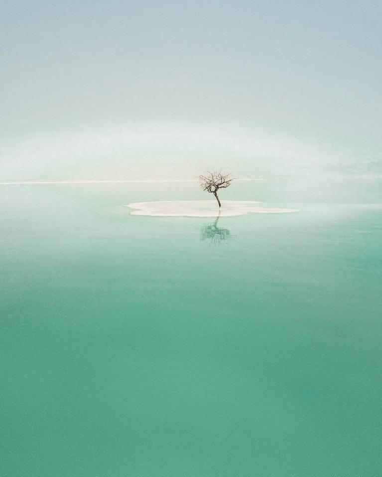 The dead tree in the middle of dead sea 😍😮

#deadsea #deadseasalt #israel #deadseaminerals #skincare #jordan #deadseamud #travel #deadseamudmask #beauty #deadseaproducts #deadseacosmetics #deadseajordan #deadseasalts #мертвоеморе #deadseamask #deadseafortune #deadseaisrael