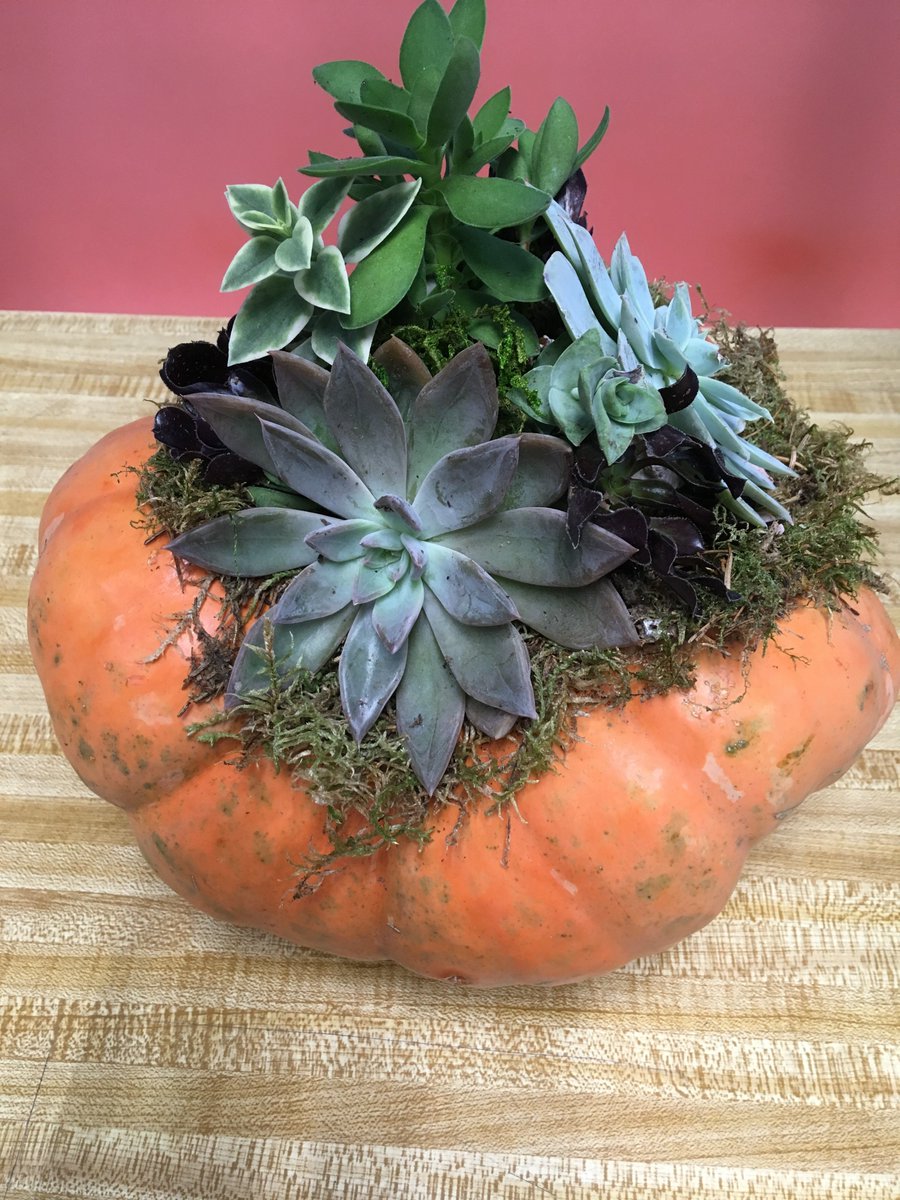 CC_PJS's tweet image. Boo! It's Monday. Can you tell we are gearing up for Halloween? The office is even starting to changes to shades of pumpkin. #halloween #fall #smallbusiness #youngsvillenc #carolinacoastalsupply #packaging #safety #janitorialsupplies #foodservice #trickortreat