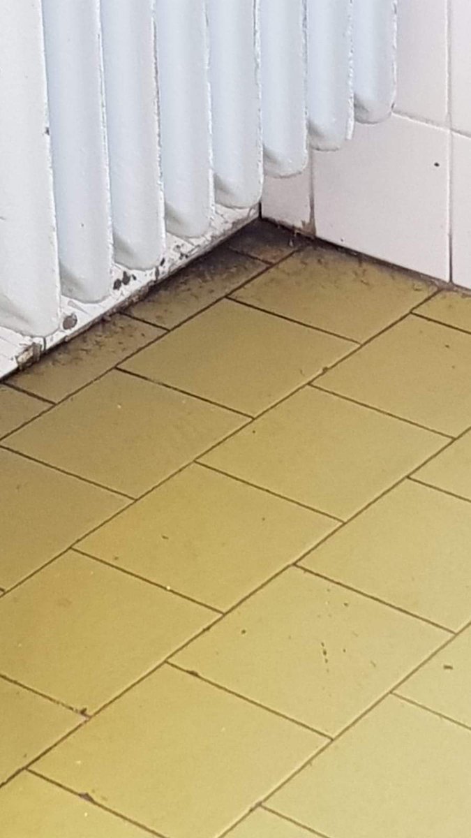 chiarabonomi's tweet photo. @AslMilanonews deve intervenire per situazione di sporcizia e degrado pericolosa x la salute di BAMBINI. Leggete post di una mamma con video e foto  https://t.co/CX6OyReprH  Ma in @ComuneMI sanno in quale condizione malsana è la scuola elementare del rinomato quartiere #isola? https://t.co/AL0lZvbKpr