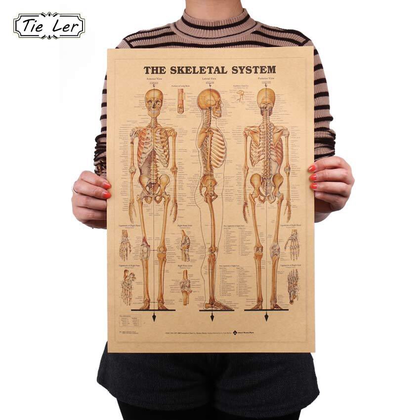 pprojectco's tweet image. Some more spooky decor for your Halloween decorating needs. 

#skeletal #halloweendecor #vintageposter #skeletons #spookyseason #pprojectco #anatomy