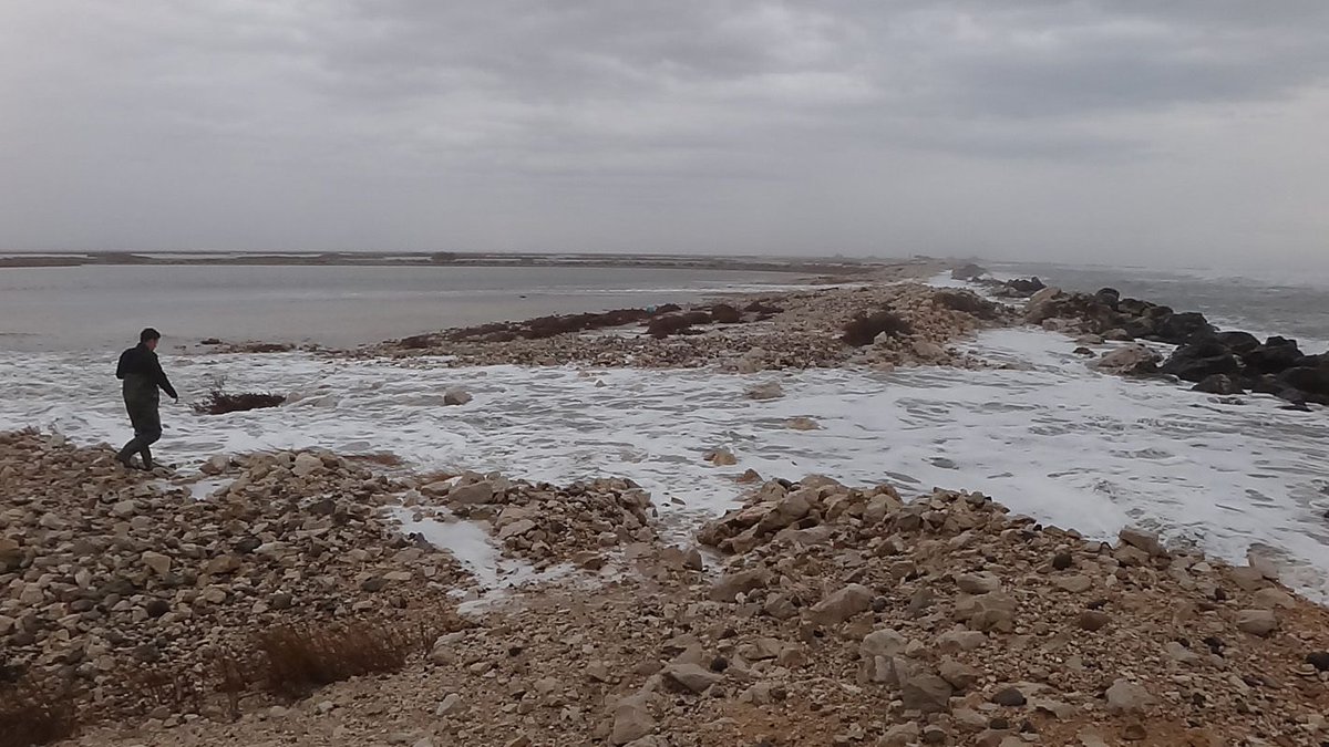 A network of scientists has undertaken the first synthesis of multiple changes in the environment that impact the livelihoods of people in the entire Mediterranean Basin. We discuss with lead author @wolfgangcramer: bit.ly/2R2Jtdw <a href="/ecoSERVICES/">ecoSERVICES</a> @Med_ECC