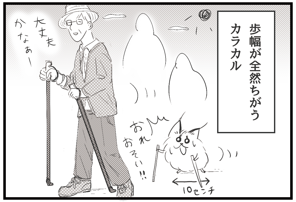 あいなつ בטוויטר 毛玉なカラカル Vol 322 先払い方式 カラカル 毛玉なカラカル 4コマ漫画 4コマ 漫画 イラスト アフリカ ネコ科動物 動物 猫 ノルディックウォーキング 残像 あいなつ בטוויטר 毛玉なカラカル Vol 322 先払い方式 カラカル 毛玉なカラカル 4コマ漫画 4コマ 漫画 イラスト アフリカ ネコ科動物 動物 猫 ノルディックウォーキング 残像