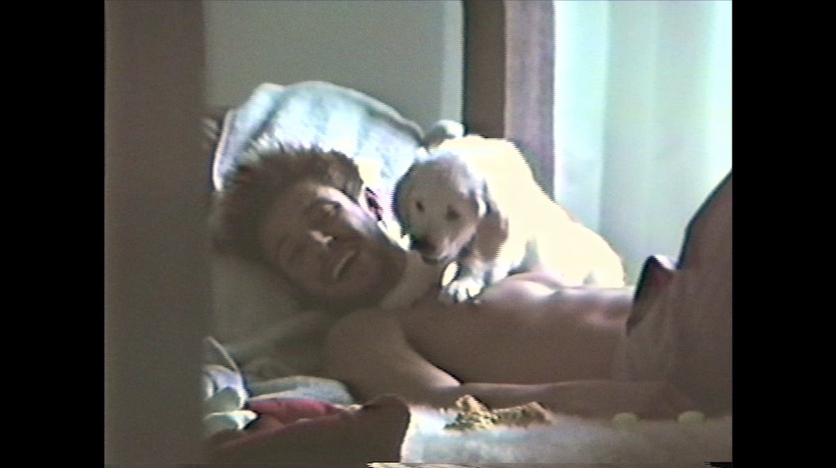 camerondallas's tweet image. youtube.com/watch?v=de9QhS…