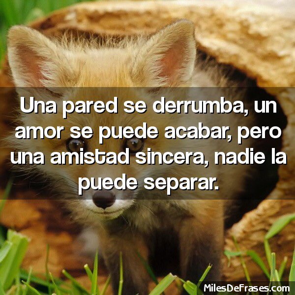 MiaElieB (@mia_elieb) on Twitter photo <a href="/ranasilvia63/">Luna OM</a> <a href="/ElieBautista/">✒️Σℓ!ḙ♭ᾰṳт!ṧтᾰ🖋 ❦ξℒ!ℭℬ❦❧</a> <a href="/MARIALUISAMAR5/">MARIA LUISA 🌺❤🌸</a> <a href="/silviasebille/">❤️Silvia S ❤️Amo los 👒</a> @SONIECITAROA <a href="/Ap42Lita/">litinha.ap🇧🇷🤩</a> <a href="/MeryLoto/">❣MaRiTzA❣</a> <a href="/kathybaker1965/">Kathy Baker</a> @carol_docasou <a href="/TorreroLorenzo/">LorenzoTorrero</a> <a href="/ss_gladys/">Gladys Nohemi</a> <a href="/BengoleaL/">luisbengolea</a> <a href="/montmaty_/">Maty</a> <a href="/chichovip/">chicho</a>7 <a href="/JosafatGuillen/">yogui 𝕏</a> <a href="/aliciagarciaga6/">Alicia garcia garcia</a> <a href="/Johann_Leopold/">Johann Leopold 🇲🇽⚽</a> <a href="/RossVzla29/">LOVE AND PEACE</a> <a href="/PaseSoy/">AMANTE POR DE FECTO.</a> <a href="/MarcelaRocha_25/">Veró</a> <a href="/virgyane/">Luz Mary.</a> <a href="/Shu_la75/">sHuLa</a> @Fitness_enlinea <a href="/Maitane09R/">❤️MaiTane❤️</a> <a href="/eliemb669/">♥️ℓ!ℨℨ!Σ !ṧᾰ♭Σℓℓᾰ✒️</a> <a href="/AceOficcial/">❤ Acenet ❣</a> <a href="/yquintero2409/">yuris quintero</a> <a href="/SoylLocoQu1/">EL RONDADOR NOCTURNO.</a> <a href="/MAngelesGonzal1/">Mª Angeles Gonzalez</a> <a href="/luis_sojo1/">Luis Díaz S</a> <a href="/chichovip/">chicho</a> 🍁 <a href="/MARIALUISAMAR5/">MARIA LUISA 🌺❤🌸</a> 🍁
🍁#AmS🍁 <a href="/ElieBautista/">✒️Σℓ!ḙ♭ᾰṳт!ṧтᾰ🖋 ❦ξℒ!ℭℬ❦❧</a>
@chichovip
<a href="/silviasebille/">❤️Silvia S ❤️Amo los 👒</a>
<a href="/Shu_la75/">sHuLa</a>
<a href="/Ap42Lita/">litinha.ap🇧🇷🤩</a>
<a href="/montmaty_/">Maty</a>
<a href="/MeryLoto/">❣MaRiTzA❣</a>
<a href="/ss_gladys/">Gladys Nohemi</a>
<a href="/MarcelaRocha_25/">Veró</a>
<a href="/virgyane/">Luz Mary.</a>
@Fitness_enlinea
<a href="/kathybaker1965/">Kathy Baker</a>
<a href="/eliemb669/">♥️ℓ!ℨℨ!Σ !ṧᾰ♭Σℓℓᾰ✒️</a>
<a href="/Johann_Leopold/">Johann Leopold 🇲🇽⚽</a>
<a href="/Maitane09R/">❤️MaiTane❤️</a>
<a href="/01STEFY_T/">♡ STEFY ♡</a> <a href="/ranasilvia63/">Luna OM</a> <a href="/mia_elieb/">MiaElieB</a> 🍁 <a href="/ranasilvia63/">Luna OM</a> <a href="/ElieBautista/">✒️Σℓ!ḙ♭ᾰṳт!ṧтᾰ🖋 ❦ξℒ!ℭℬ❦❧</a> <a href="/MARIALUISAMAR5/">MARIA LUISA 🌺❤🌸</a> <a href="/silviasebille/">❤️Silvia S ❤️Amo los 👒</a> @SONIECITAROA <a href="/Ap42Lita/">litinha.ap🇧🇷🤩</a> <a href="/MeryLoto/">❣MaRiTzA❣</a> <a href="/kathybaker1965/">Kathy Baker</a> @carol_docasou <a href="/TorreroLorenzo/">LorenzoTorrero</a> <a href="/ss_gladys/">Gladys Nohemi</a> <a href="/BengoleaL/">luisbengolea</a> <a href="/montmaty_/">Maty</a> <a href="/chichovip/">chicho</a>7 <a href="/JosafatGuillen/">yogui 𝕏</a> <a href="/aliciagarciaga6/">Alicia garcia garcia</a> <a href="/Johann_Leopold/">Johann Leopold 🇲🇽⚽</a> <a href="/RossVzla29/">LOVE AND PEACE</a> <a href="/PaseSoy/">AMANTE POR DE FECTO.</a> <a href="/MarcelaRocha_25/">Veró</a> <a href="/virgyane/">Luz Mary.</a> <a href="/Shu_la75/">sHuLa</a> @Fitness_enlinea <a href="/Maitane09R/">❤️MaiTane❤️</a> <a href="/eliemb669/">♥️ℓ!ℨℨ!Σ !ṧᾰ♭Σℓℓᾰ✒️</a> <a href="/AceOficcial/">❤ Acenet ❣</a> <a href="/yquintero2409/">yuris quintero</a> <a href="/SoylLocoQu1/">EL RONDADOR NOCTURNO.</a> <a href="/MAngelesGonzal1/">Mª Angeles Gonzalez</a> <a href="/luis_sojo1/">Luis Díaz S</a> <a href="/chichovip/">chicho</a> 🍁 <a href="/MARIALUISAMAR5/">MARIA LUISA 🌺❤🌸</a> 🍁
🍁#AmS🍁 <a href="/ElieBautista/">✒️Σℓ!ḙ♭ᾰṳт!ṧтᾰ🖋 ❦ξℒ!ℭℬ❦❧</a>
@chichovip
<a href="/silviasebille/">❤️Silvia S ❤️Amo los 👒</a>
<a href="/Shu_la75/">sHuLa</a>
<a href="/Ap42Lita/">litinha.ap🇧🇷🤩</a>
<a href="/montmaty_/">Maty</a>
<a href="/MeryLoto/">❣MaRiTzA❣</a>
<a href="/ss_gladys/">Gladys Nohemi</a>
<a href="/MarcelaRocha_25/">Veró</a>
<a href="/virgyane/">Luz Mary.</a>
@Fitness_enlinea
<a href="/kathybaker1965/">Kathy Baker</a>
<a href="/eliemb669/">♥️ℓ!ℨℨ!Σ !ṧᾰ♭Σℓℓᾰ✒️</a>
<a href="/Johann_Leopold/">Johann Leopold 🇲🇽⚽</a>
<a href="/Maitane09R/">❤️MaiTane❤️</a>
<a href="/01STEFY_T/">♡ STEFY ♡</a> <a href="/ranasilvia63/">Luna OM</a> <a href="/mia_elieb/">MiaElieB</a> 🍁