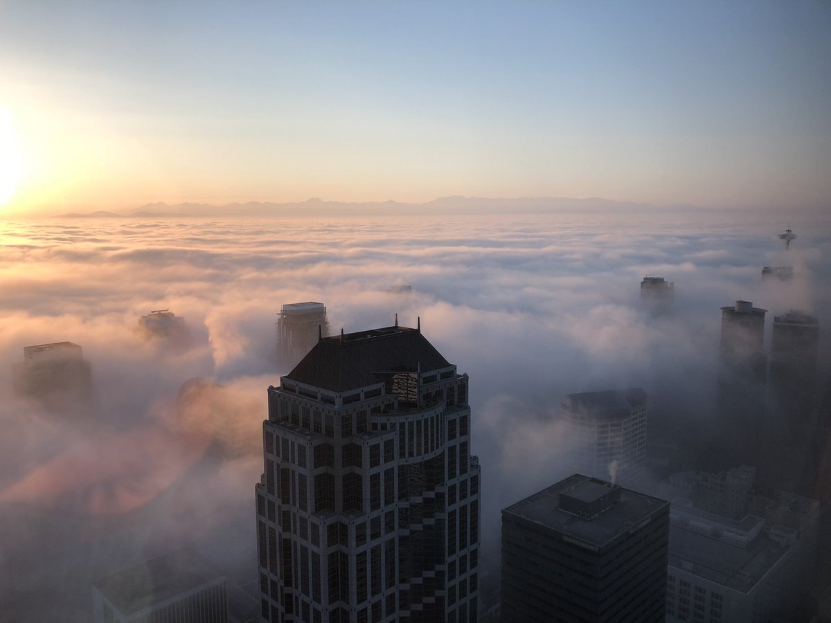 msfitak's tweet photo. Tonight’s sunset in Seattle, courtesy of all the fog we’ve been having! I did see one plane flying tho, so that’s good news. ✈️ 🌁 @sueromero @IanSterling100 @KING5Seattle @komonews https://t.co/ugZaVny1s4